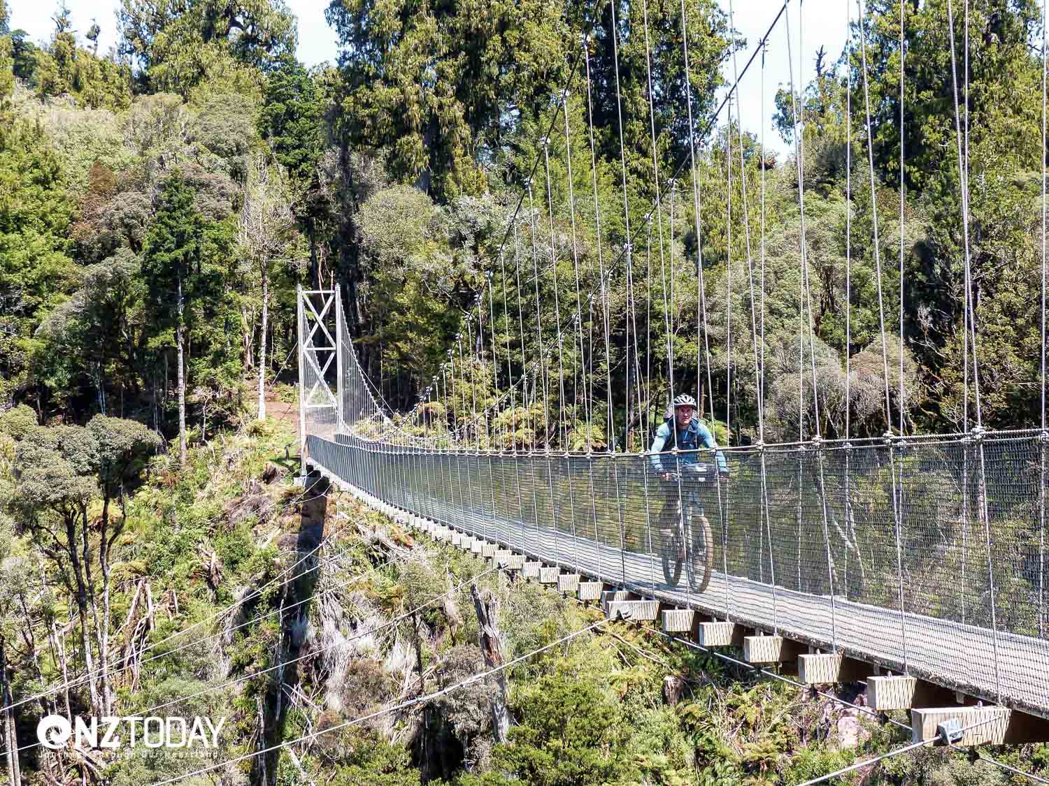 The massive suspension bridges on this trail were both stunning and daunting