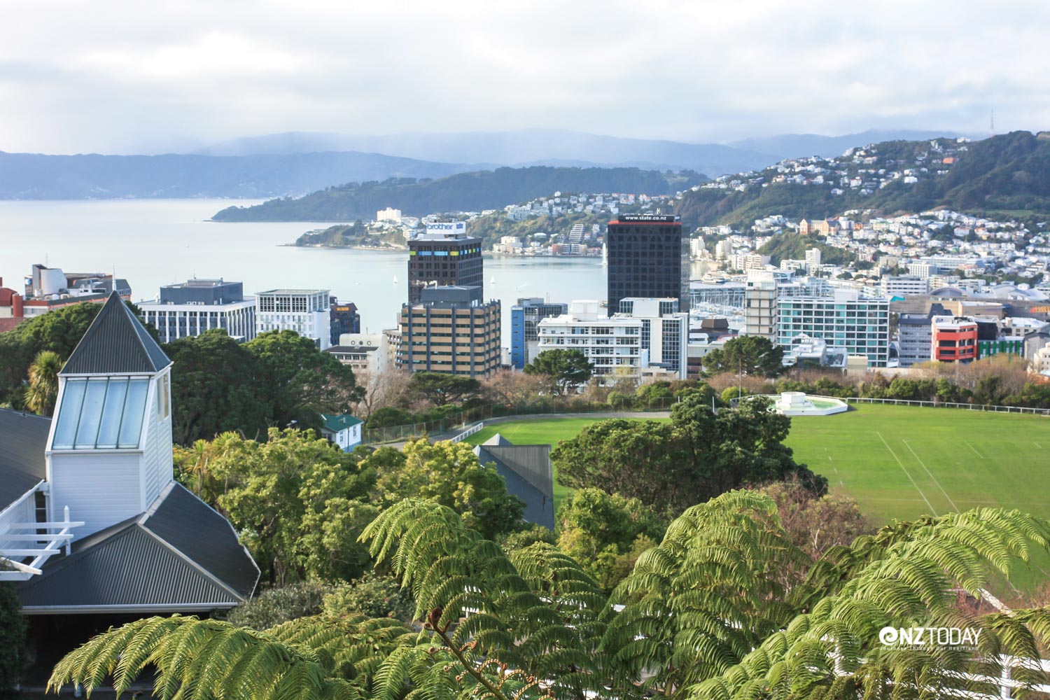 Expansive views of Wellington Harbour from the cable car are truly memorable