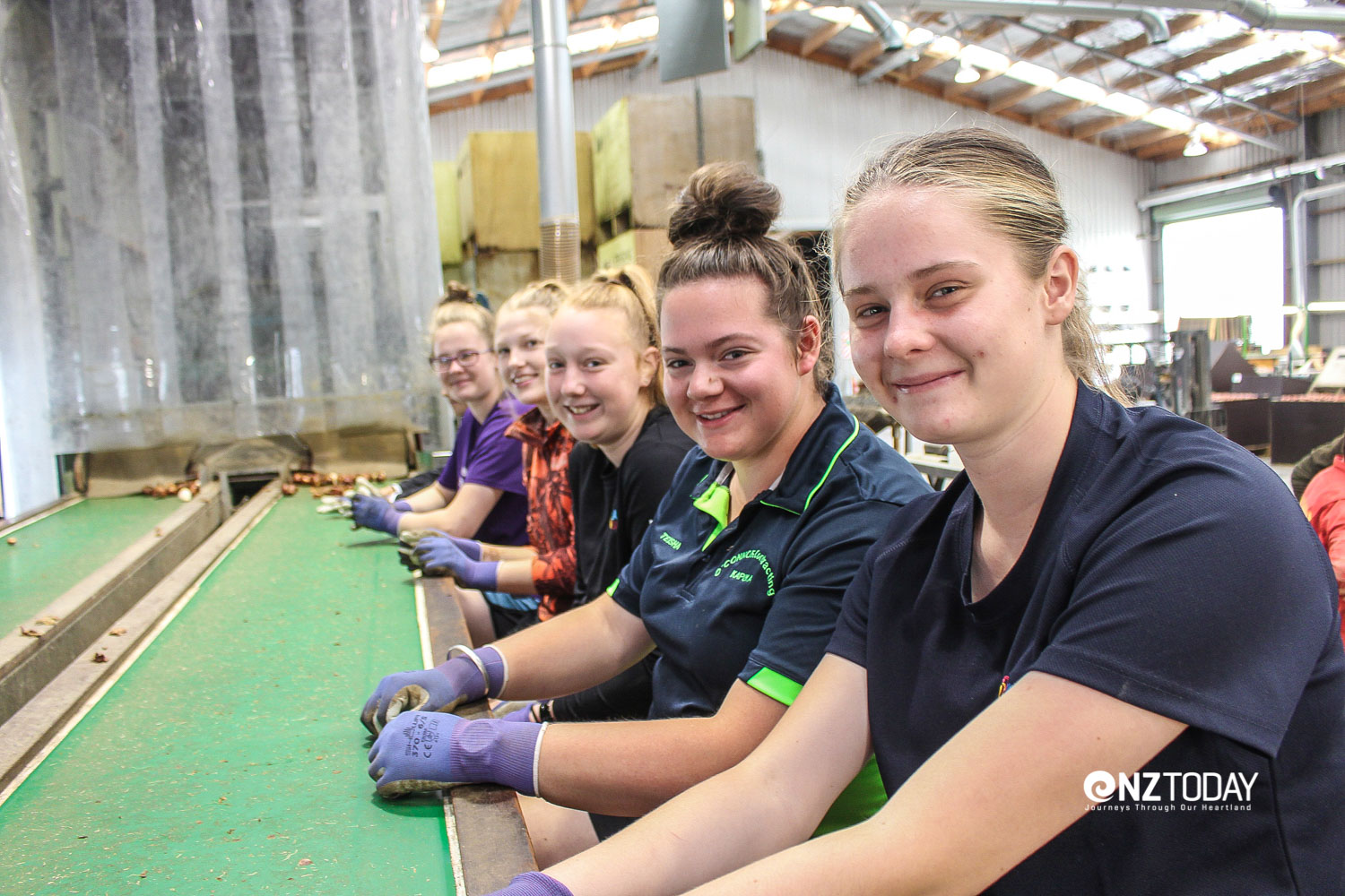 The tulip bulb plant near Edendale employs up to 60 locals. A team of young women ‘sorters’
